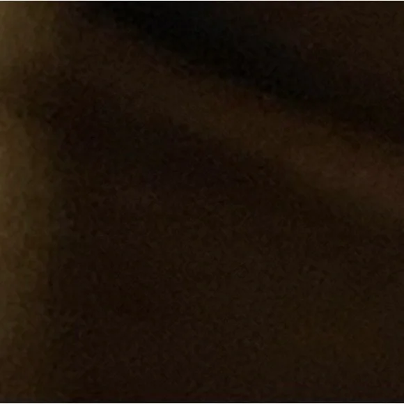 Louis Vuitton Dark Brown Epi Leather Alma - Picture 9 of 11